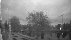 Rosarium Webcam