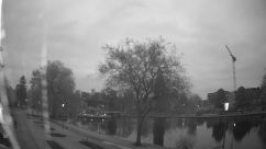 Rosarium Webcam